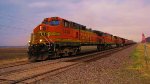 BNSF 5429